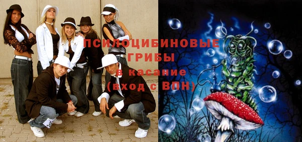 не бодяженный Алексин