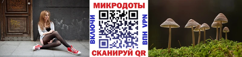Галлюциногенные грибы Magic Shrooms  Шимановск 